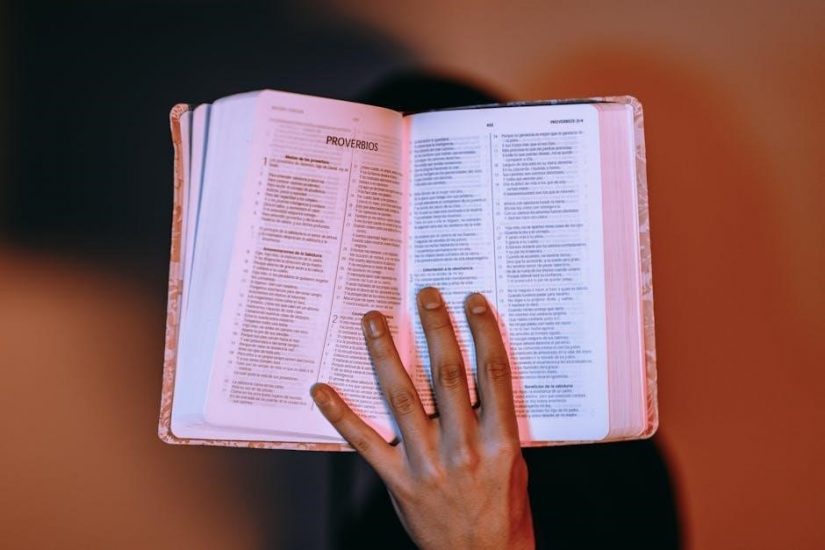 the chosen bible study pdf