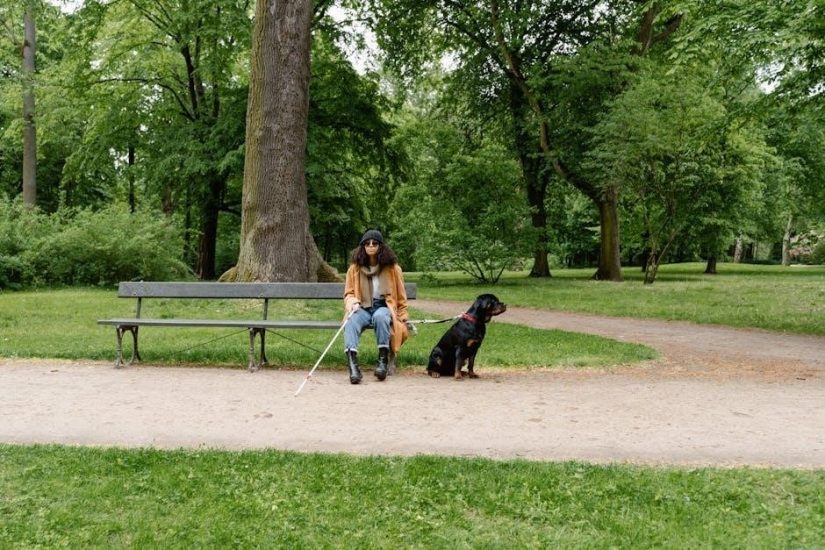 south park the stick of truth trophy guide